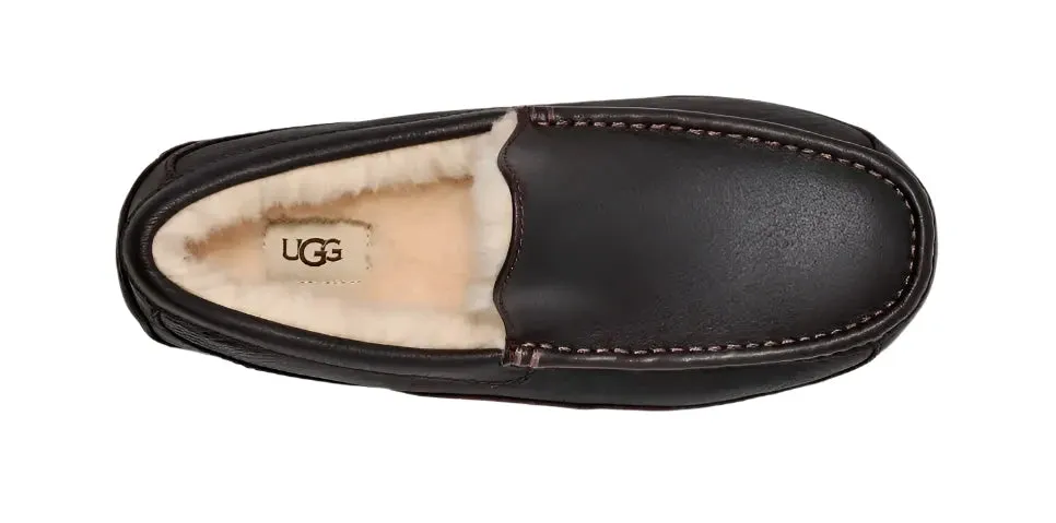 UGG ASCOT MEN'S