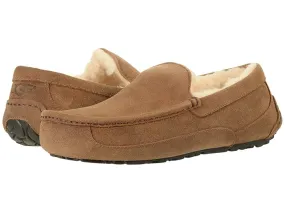 UGG Ascot - WIDE