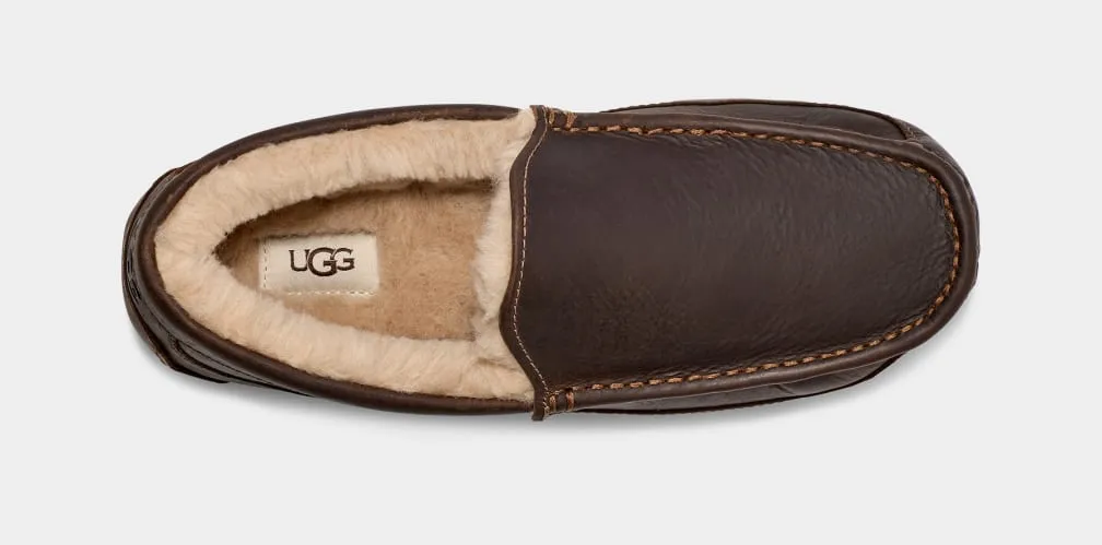 UGG Men's Ascot Leather