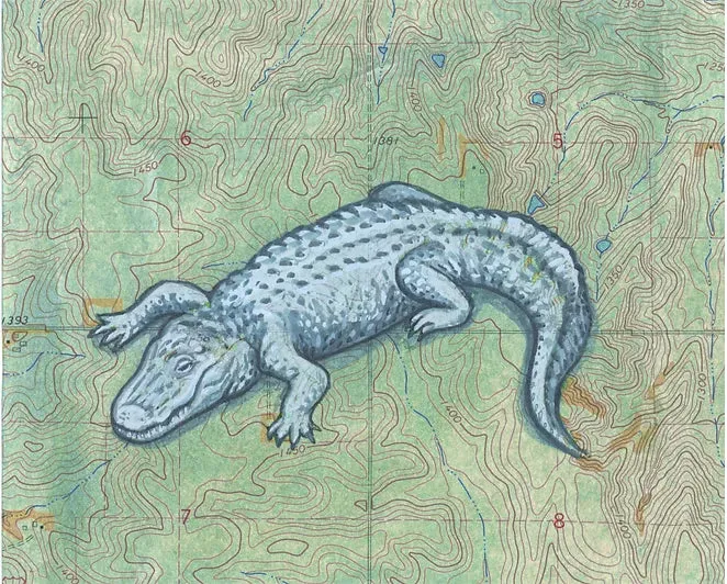 White Alligator Postcard by Us & We Art